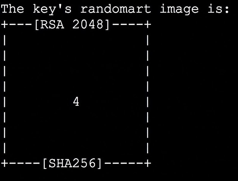 Terminal output “The key's randomart image is:” with a frame labelled RSA 2048 and SHA256 that contains only a single 4 instead of a pattern